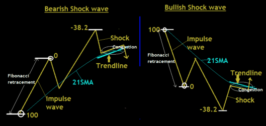 Attributes of the Shock Wave Pattern