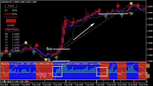 Forex Rider Evo Trading System Buy Parameters