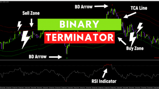 Индикатор Binary Terminator