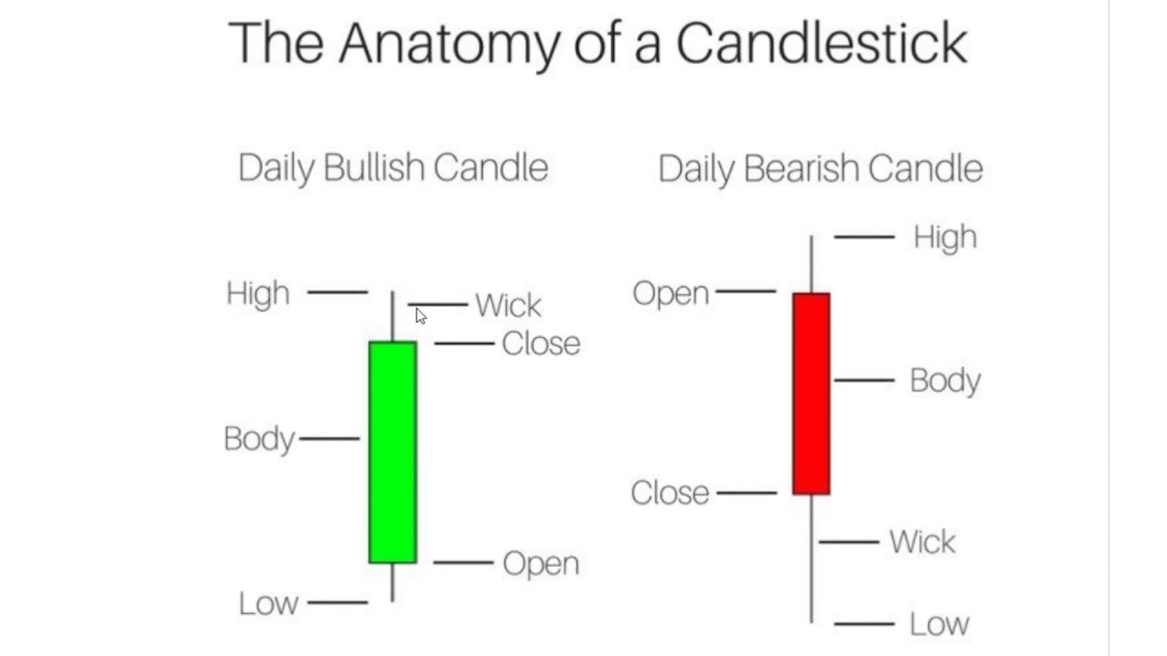 anatomy candle stick