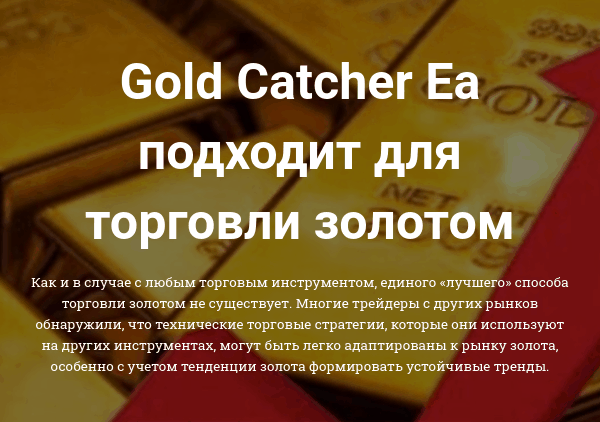 gold catcher ea box