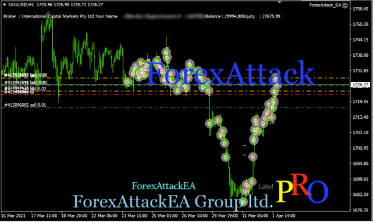 forex attack ea terminal