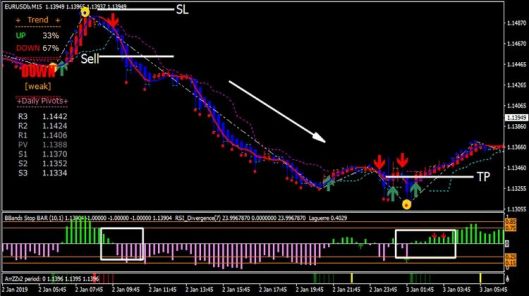 Forex Rider Evo Trading System Sell Parameters