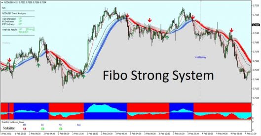 Fibo Strong System Overview