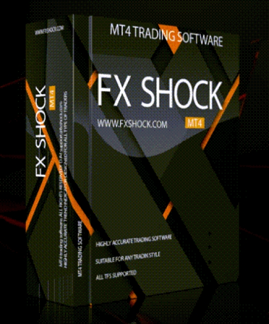 Система FX SHOCK
